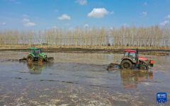 新华全媒+丨“北大仓”春耕春播忙